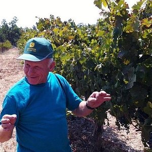 tel aviv winery tour