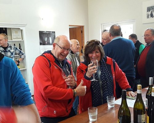 wine tours wellington new zealand