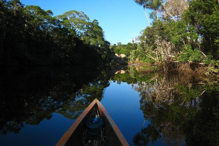 Tripadvisor | 4-daagse Trip: Cuyabeno Amazon Experience Aangeboden Door ...