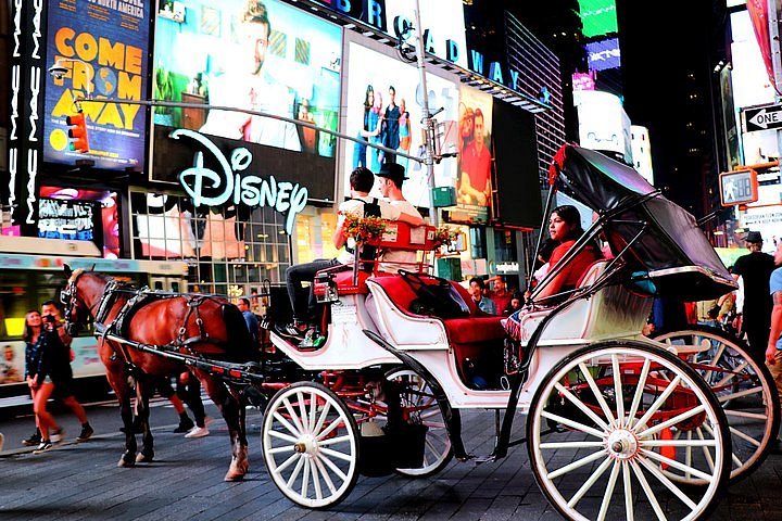 8 Magical Horse Drawn Carriage Rides And Tours In Florida