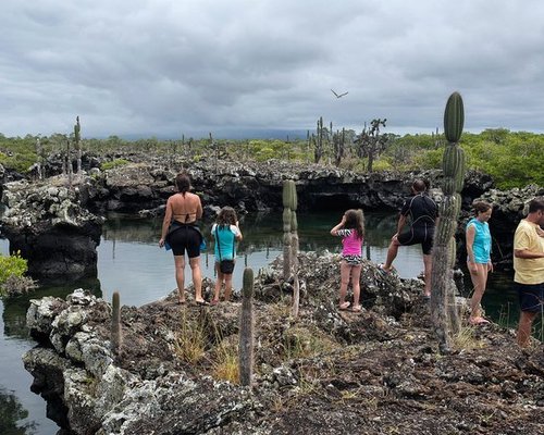 Walking tour Sendero de la Isla  Travel in Ecuador and Galapagos