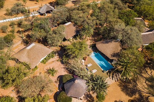 ohorongo safaris