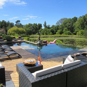 Lily Pond Country Lodge's pool and lily pond's