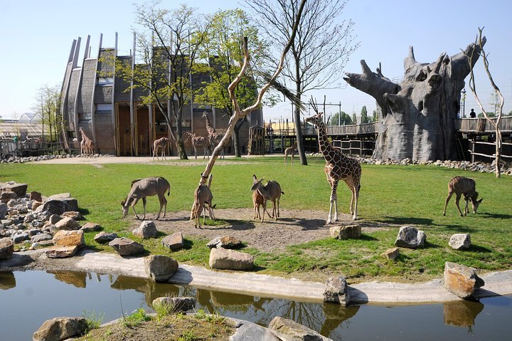 2023 Rotterdam Zoo Diergaarde Blijdorp Direct Entrance Ticket