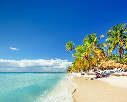 tours from punta cana