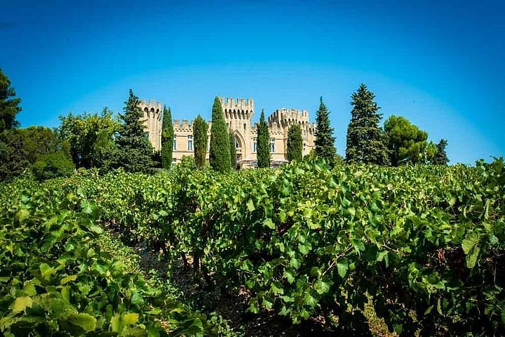 wine tour chateauneuf du pape