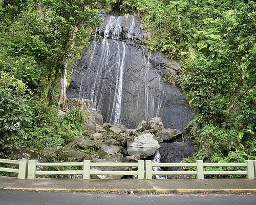 el yunque tours tripadvisor