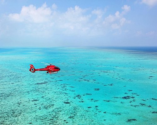 great barrier reef tours helicopter