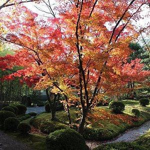 21年 八幡市で絶対外さないおすすめ観光スポットトップ10 定番から穴場まで トリップアドバイザー