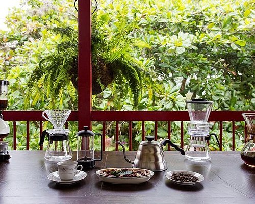 Armenia, Quindio Botanical Garden and Coffee Farm Private Tour 2023