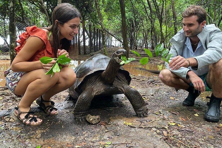 Tripadvisor | Prison Island Trip. af store skildpadder leveret af Zanzibar Local | Zanzibar, Tanzania