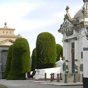 punta arenas free tour
