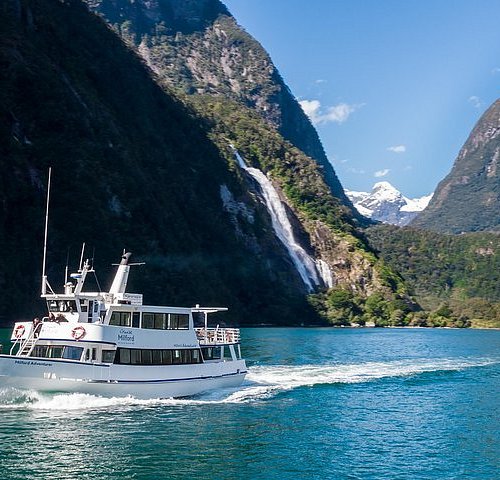 south island day trips