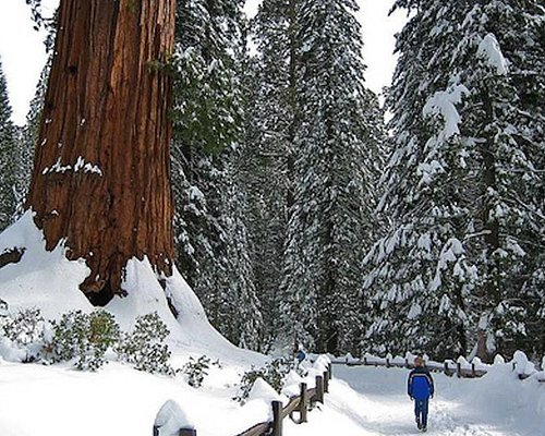 yosemite national park guided hiking tours
