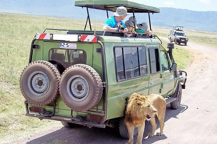 Safari a Kenia: Pequeños exploradores