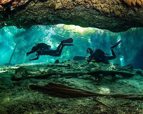 calypso diving tulum