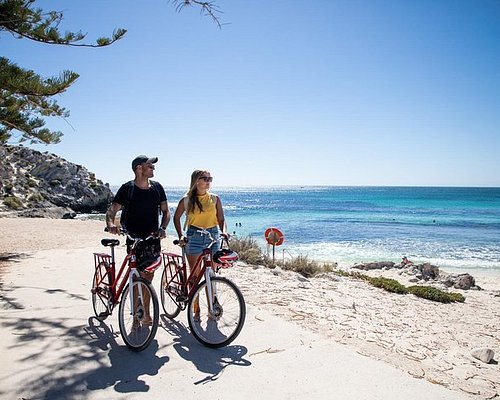 THE 10 BEST Rottnest Island Tours & Excursions for 2024 (with Prices)