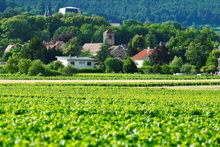 burgundy tour from paris