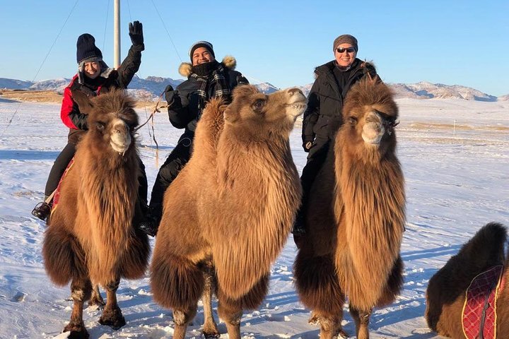 2024 Amazing Winter Tour Provided By Magic Tour Mongolia   Caption 