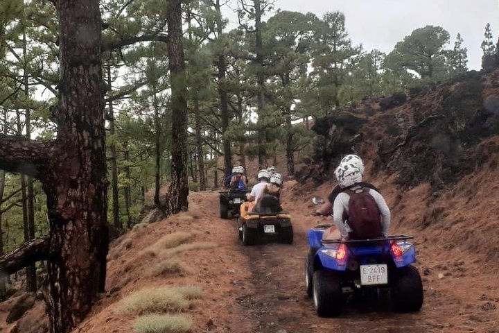 THE 5 BEST Santa Cruz de Tenerife ATV Off Road Tours 2024