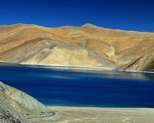 best travel agency for ladakh