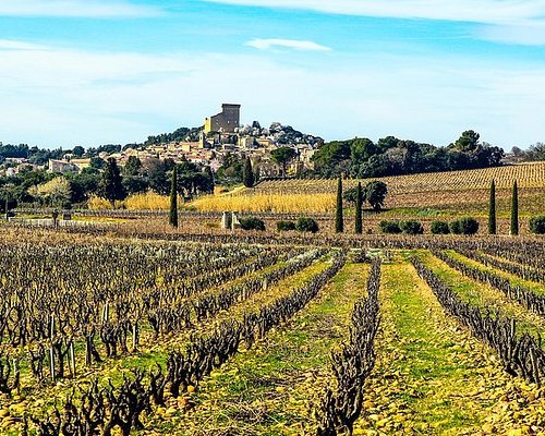 best wine tour chateauneuf