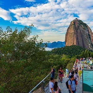 Sugar Loaf with Quick Access and Lunch at the Classic Urca Restaurant