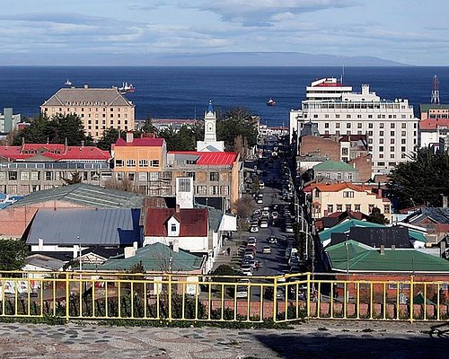 punta arenas free tour