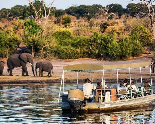 safaris en zambia