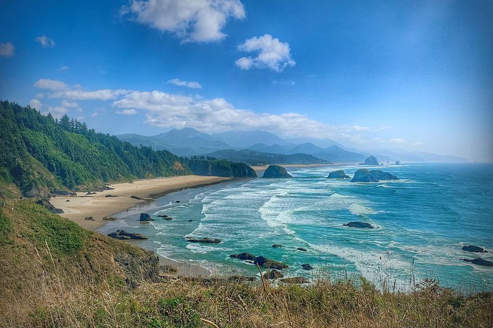 Discover Heceta Beach County Park: Your Ultimate Travel Guide