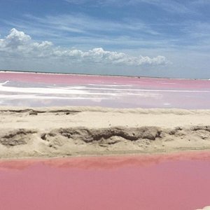 The Pink Ocean Of Los Coloradas Is A Bucket List Must! - Indie88