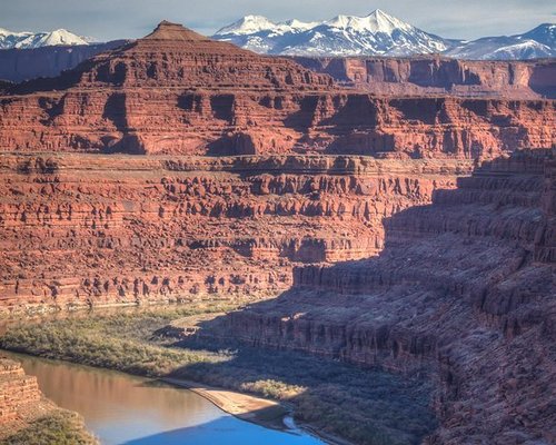 are dogs allowed in canyonlands national park