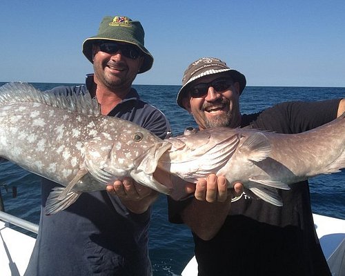 THE 10 BEST Australia Fishing Charters & Tours (Updated 2024)
