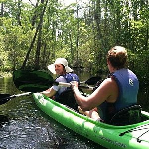 2024 Sunset Dolphin Kayak Tours provided by Chesapean Outdoors