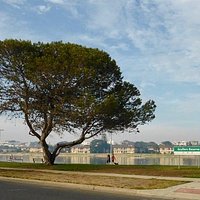 Scullers Reserve 2
