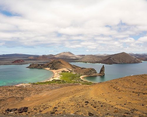 Rusland have på væv THE 10 BEST Galapagos Islands Nature & Wildlife Tours (with Photos) -  Tripadvisor
