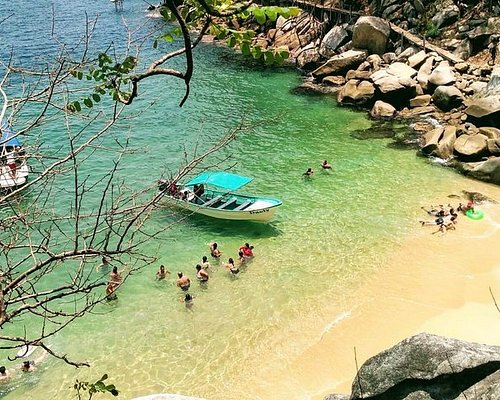 puerto vallarta nature tours