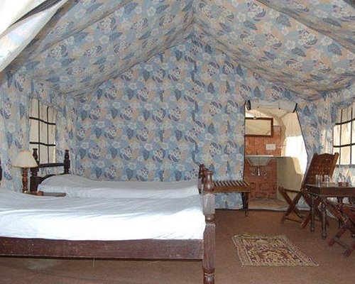 jodhpur camel safari day tours