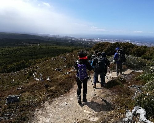 punta arenas free tour