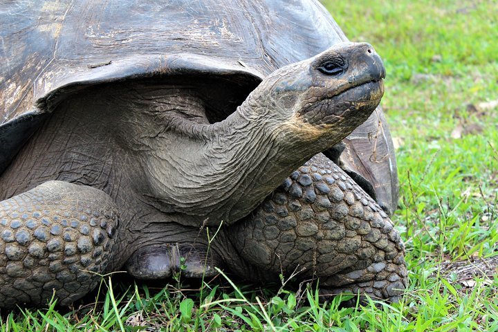 2024 8 Days Galapagos Island Hopping   Caption 