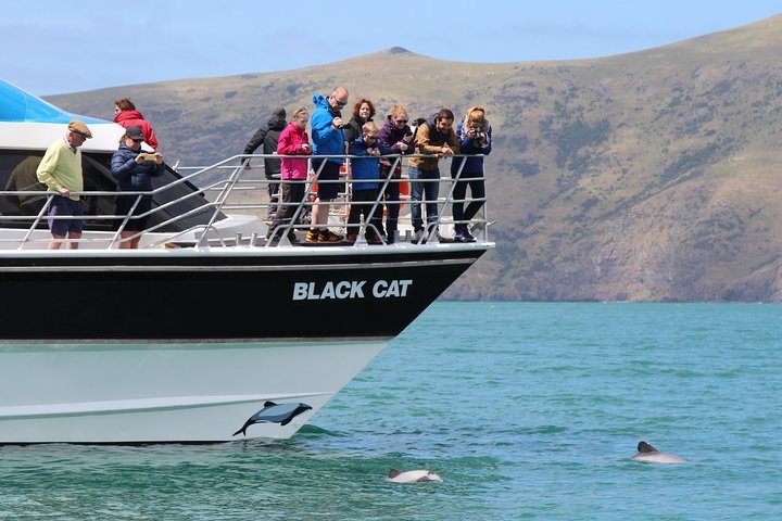 The Giants House (Akaroa) - All You Need To Know BEFORE You Go