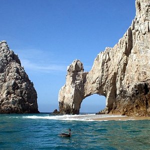 Cabo Real Golf Course (Cabo San Lucas) - All You Need to Know BEFORE You Go