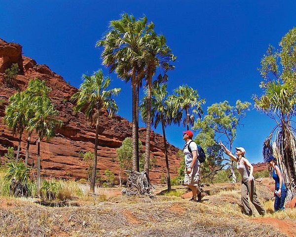 Aboriginal Australia Culture Centre Alice Springs All You Need To Know Before You Go