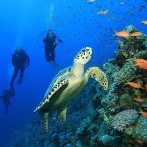 Costa Maya 2023: Best Places to Visit - Tripadvisor