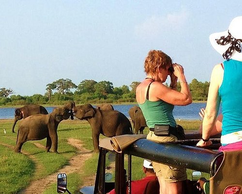 yala safari resort