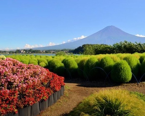 MOUNT FUJI CHILDREN'S WORLD: All You Need to Know