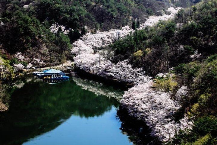 2024 Mt.Mai with beautiful flowers and Jeonju Hanok village - Jinan-gun