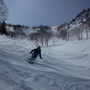 21年 ライジングフィールド軽井沢 行く前に 見どころをチェック トリップアドバイザー