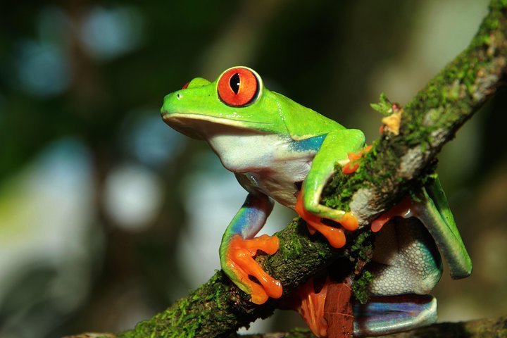 2023 Photography Tour at Natura Eco Park