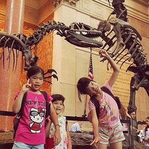 American Museum of Natural History  Museums in Upper West Side, New York